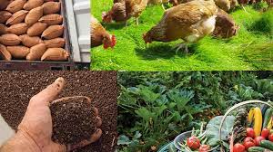 خرید مستقیم کود شیمیایی سبزینه مارال از کارخانه در یزد